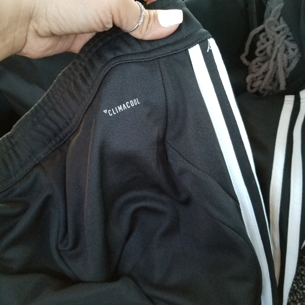 Adidas pants nwt